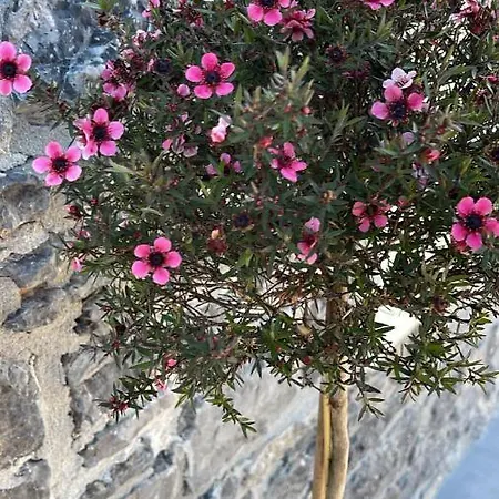 Casa Vacacional Escuela La Llera Colunga