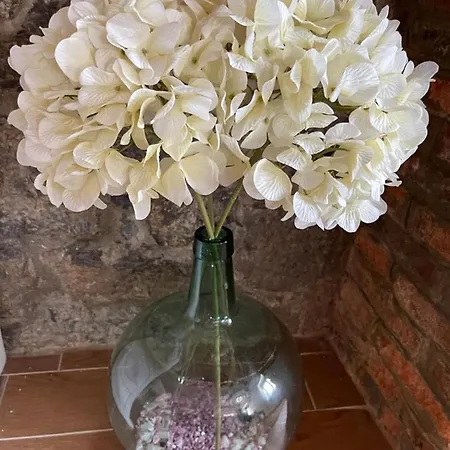 Tatil Evi Casa Vacacional Escuela La Llera Colunga