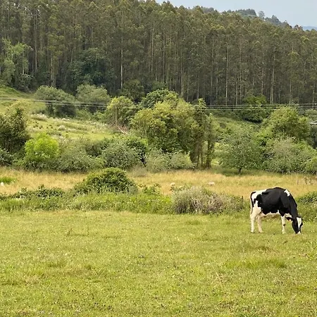Дом отдыха Casa Vacacional Escuela La Llera *