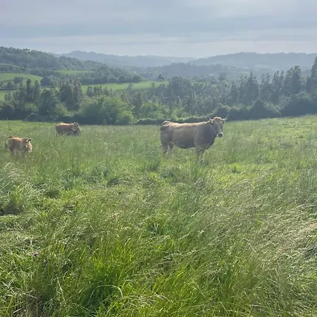 Casa Vacacional Escuela La Llera Колунга